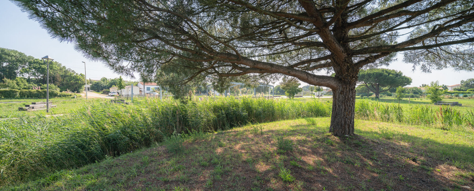 photographie_architecture_Jardin_memoriel_du_Pied_du_Coteau_Port_des_Barques-13