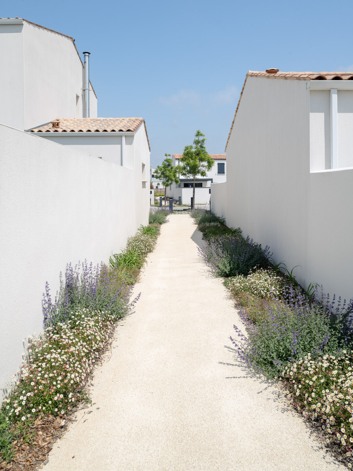 photographie_architecture_belvedere_sur_la_charente_rochefort-2