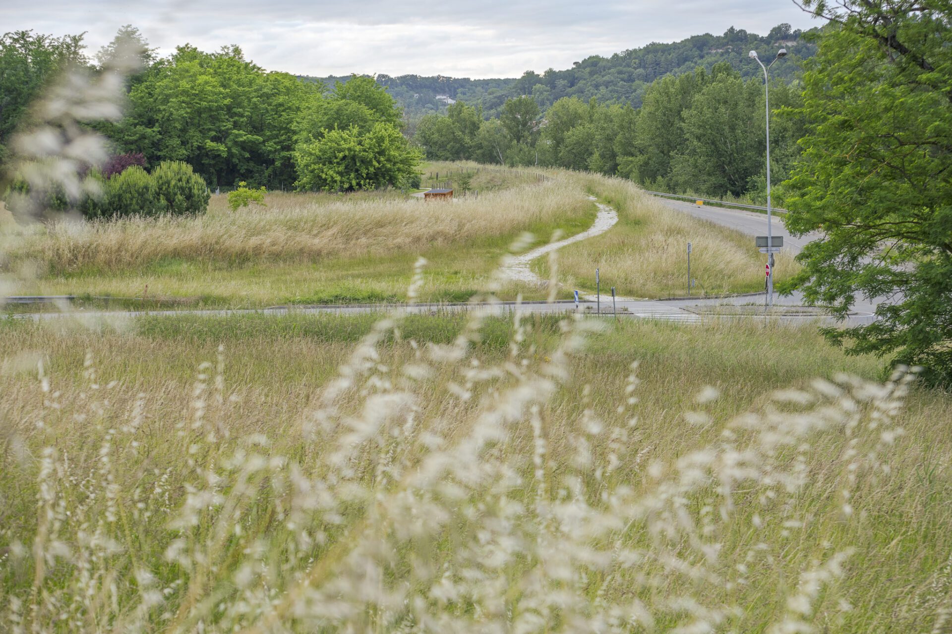 Gastel_paysages_Parc_maisons_eclusieres_AGEN_©ArnaudBrossard_05_2024-22