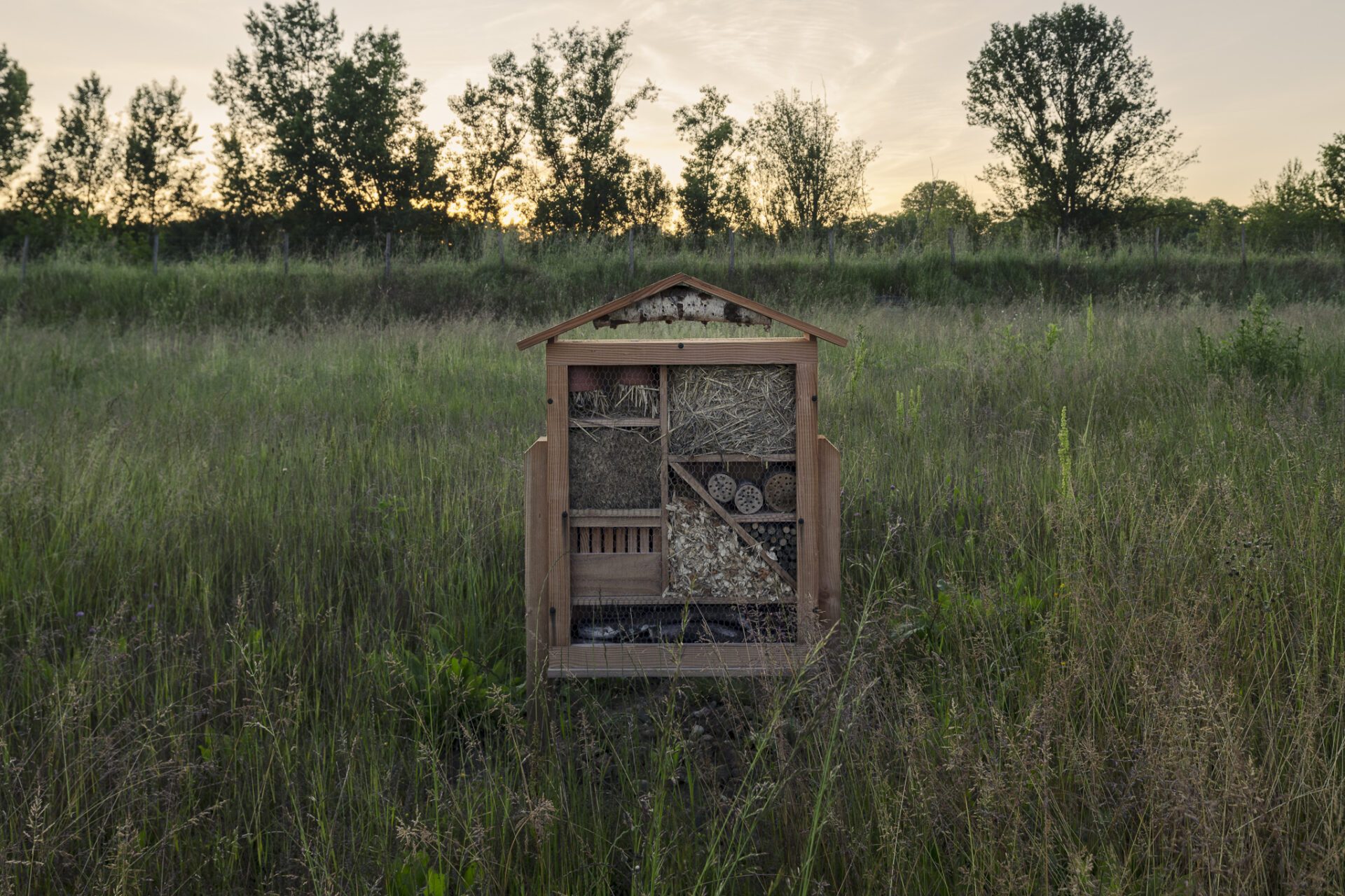 Gastel_paysages_Parc_maisons_eclusieres_AGEN_©ArnaudBrossard_05_2024-29