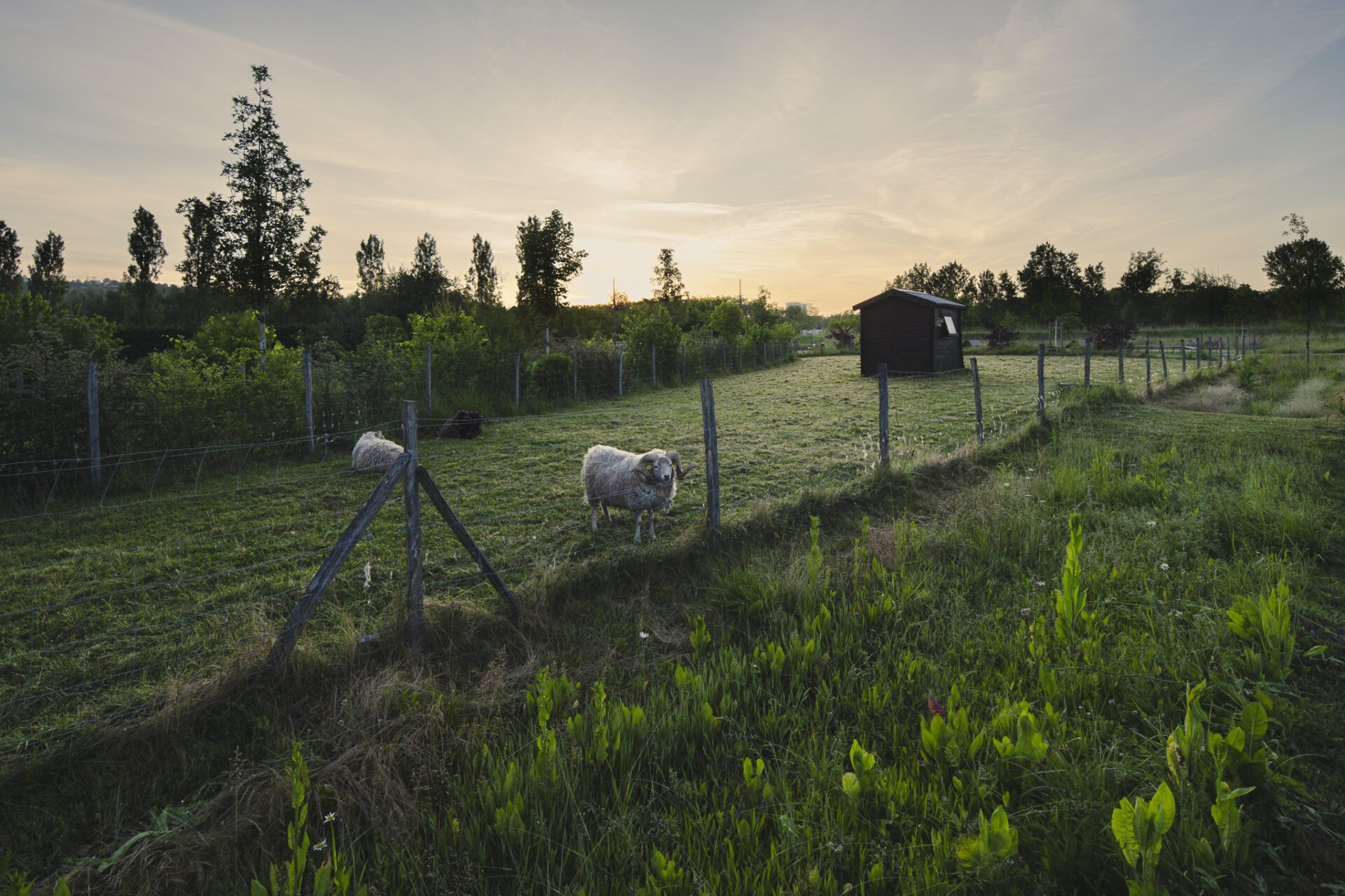 Gastel_paysages_Parc_maisons_eclusieres_AGEN_©ArnaudBrossard_05_2024-30