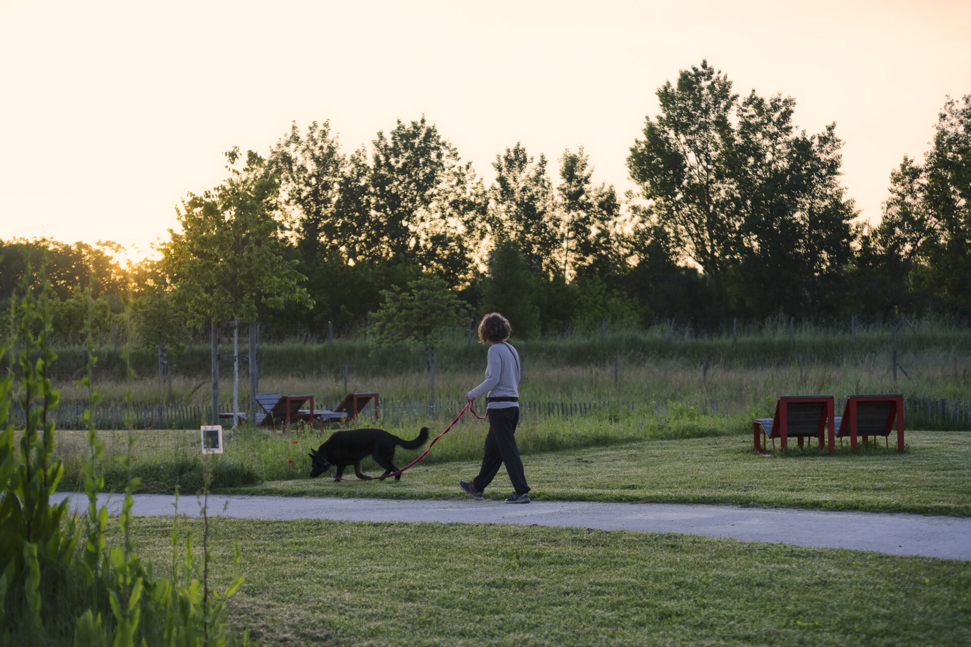 Gastel_paysages_Parc_maisons_eclusieres_AGEN_©ArnaudBrossard_05_2024-32