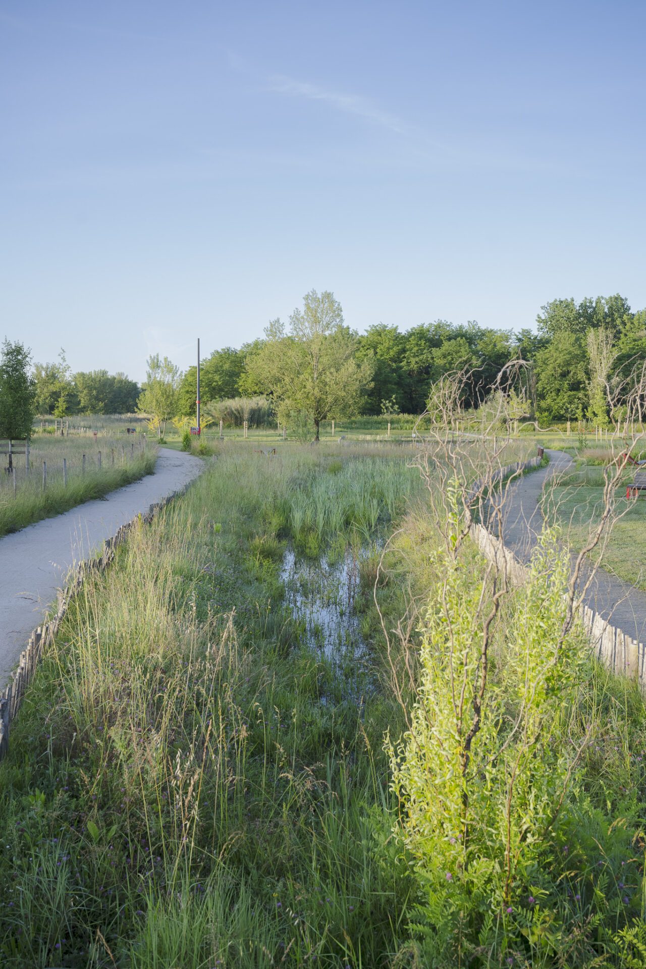 Gastel_paysages_Parc_maisons_eclusieres_AGEN_©ArnaudBrossard_05_2024-44