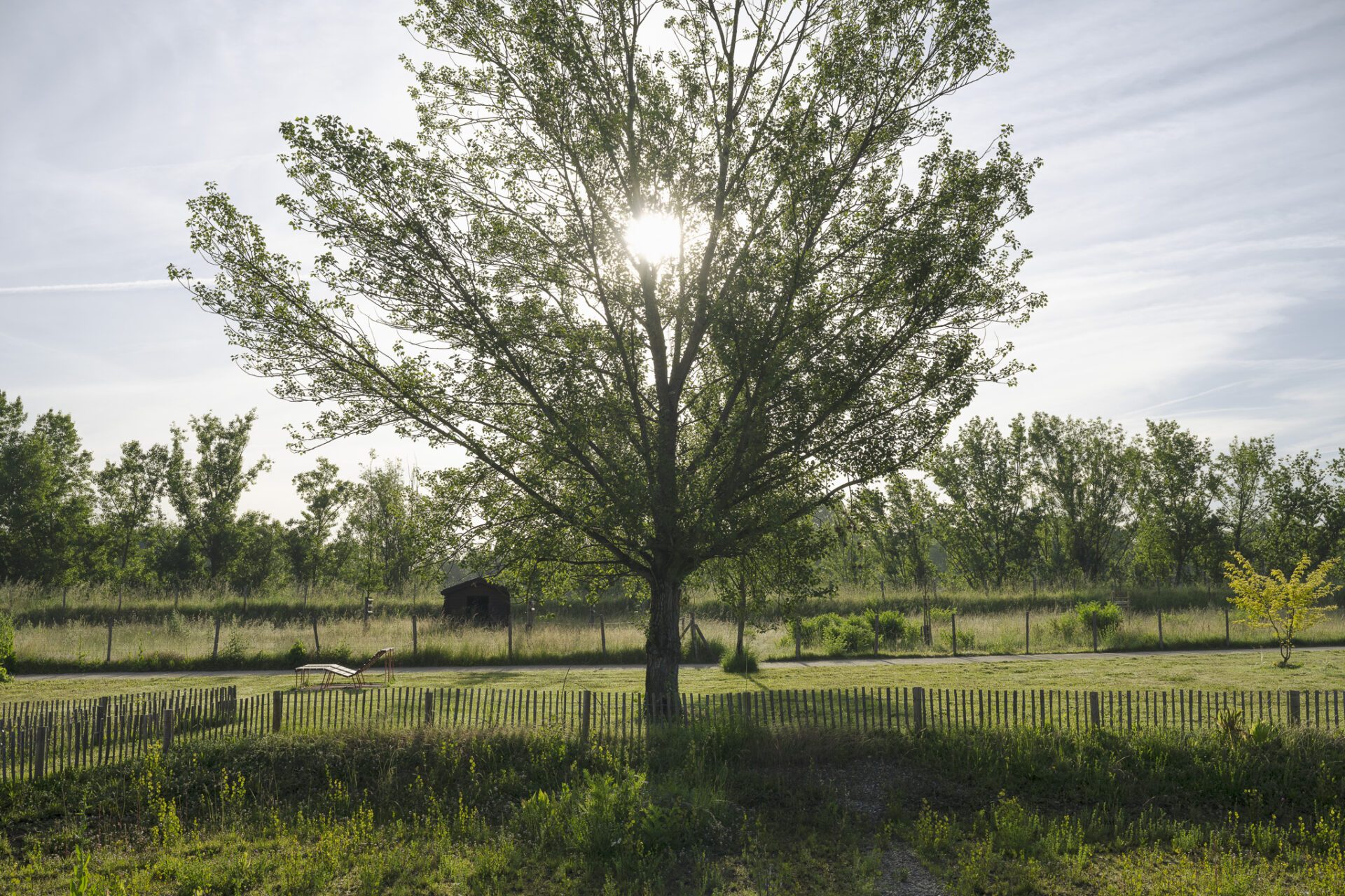 Gastel_paysages_Parc_maisons_eclusieres_AGEN_©ArnaudBrossard_05_2024-49